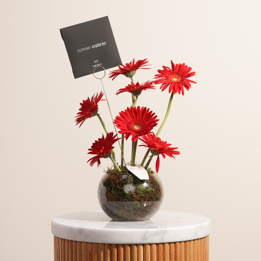 قسيمة اهداء خدمات النقل المميزة من  كابريو | زهور