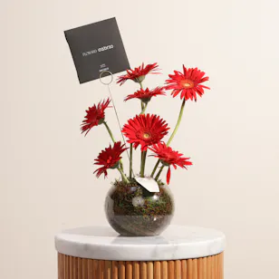 Cabrio Premium Transportation Services Voucher | Flowers