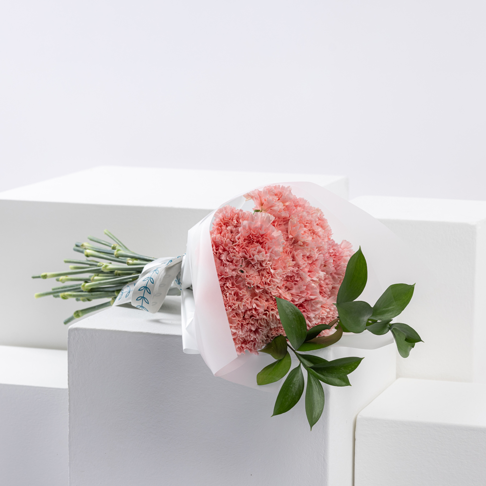 Blush Elegance | Carnation Bouquet