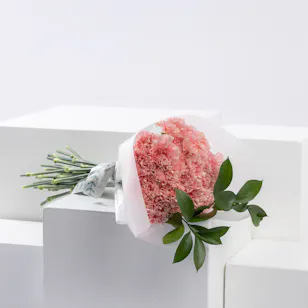 Blush Elegance | Carnation Bouquet Blush Elegance | Carnation Bouquet