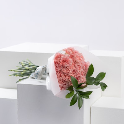 Blush Elegance | Carnation Bouquet