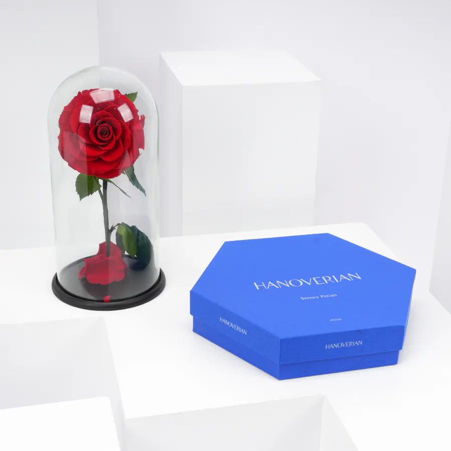 Red Preserved Rose with Hanoverian Chocolate  1