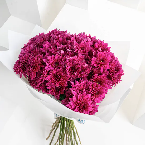Purple Chrysanthemums Get Well Soon