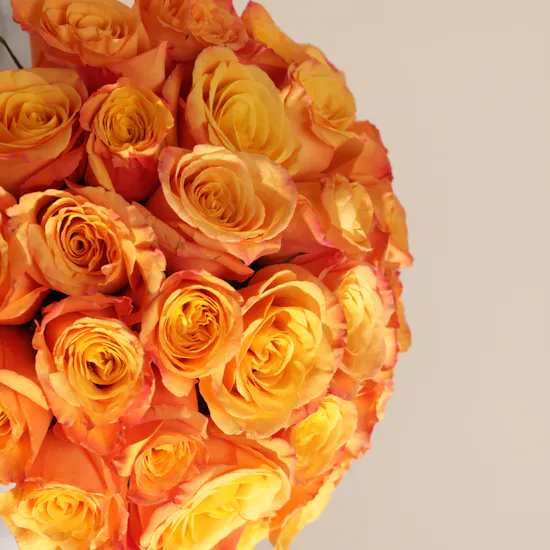 Sunny Orange Roses Box | 25 Flowers