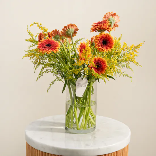 Golden Reverie Gerbera Vase