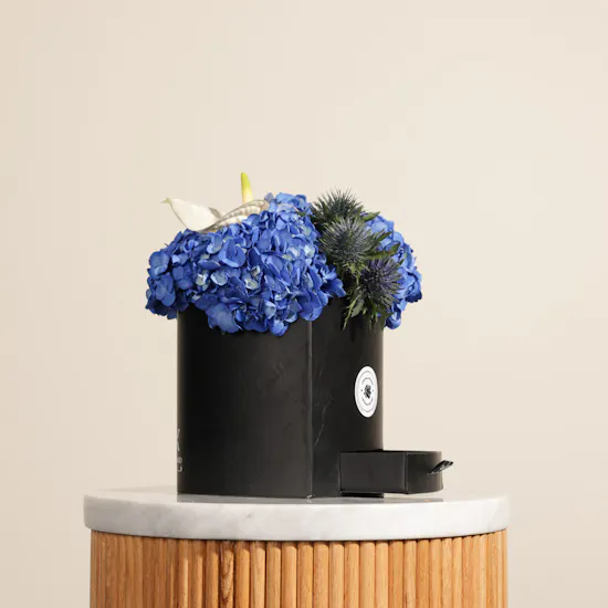 Floward Plain Chocolates | Blue Heart Flowers Box