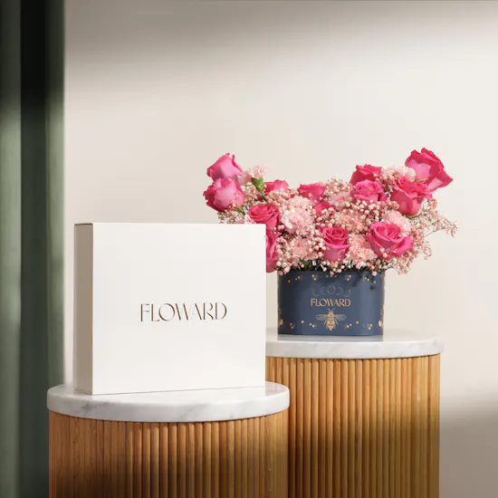 Floward Lovely Orchid Elegant Home Set | Colorful Flower Box