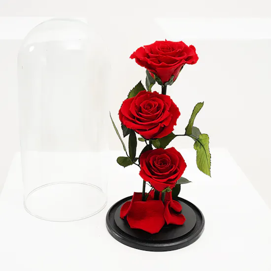 Preserved Red Roses | Glass Dome