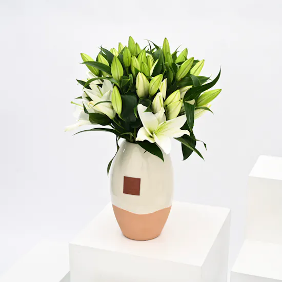 Lilies in Ceramic Vase