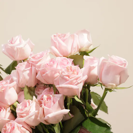 Nature’s Shine Flowers Vase