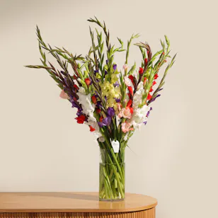 Mixed Color Gladiolus Vase