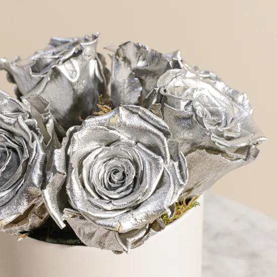 Preserved Silver Rose Box | 6 Roses