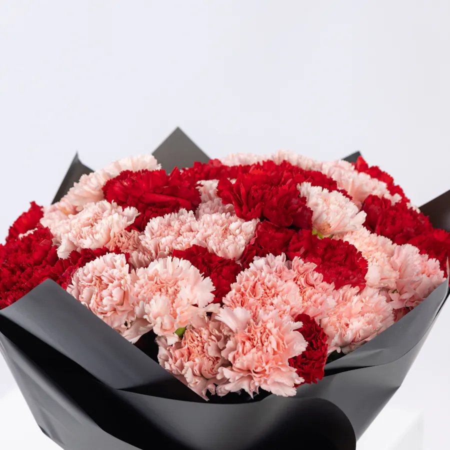 Elegant Beauty | Carnations Bouquet 4