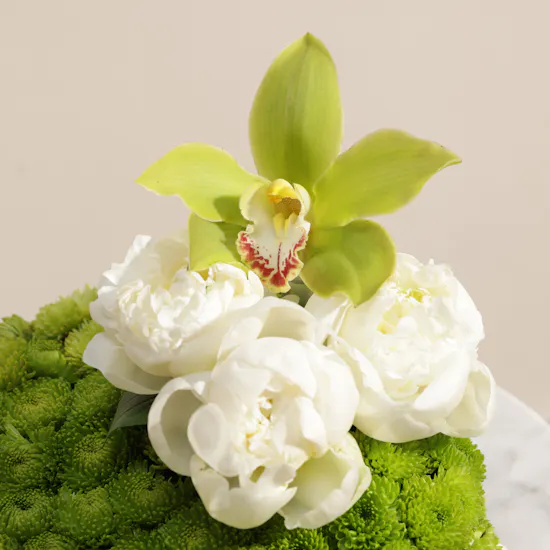 Peony Silk Garden