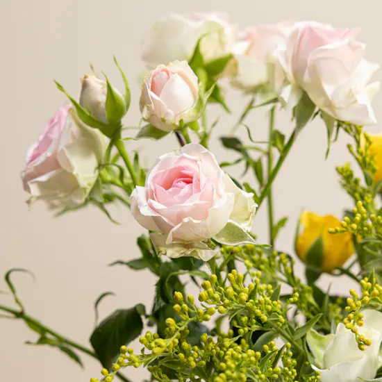 Sunset Serenade Baby Roses Vase