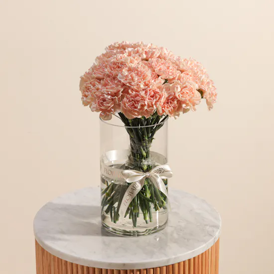 Vibrant Carnation Peach Vase