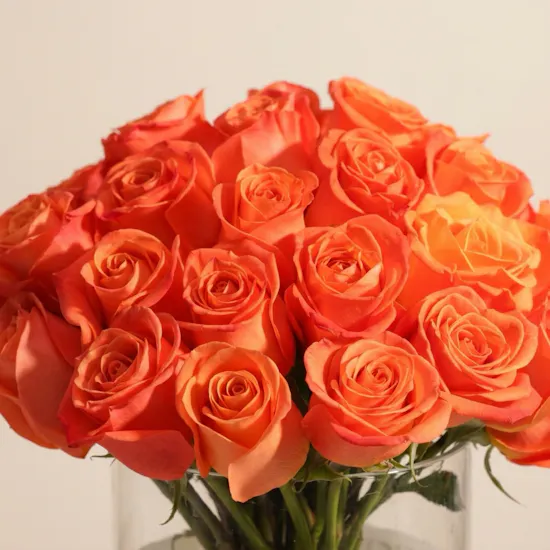 Orange Roses Vase | 35 Flowers