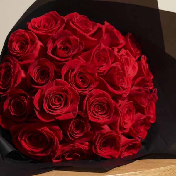 Dazzling Red Rose Bouquet | 25 Flowers