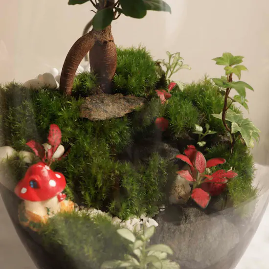 Nano Garden Closed Lamp Terrarium
