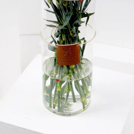 25 Red Carnations | Vase