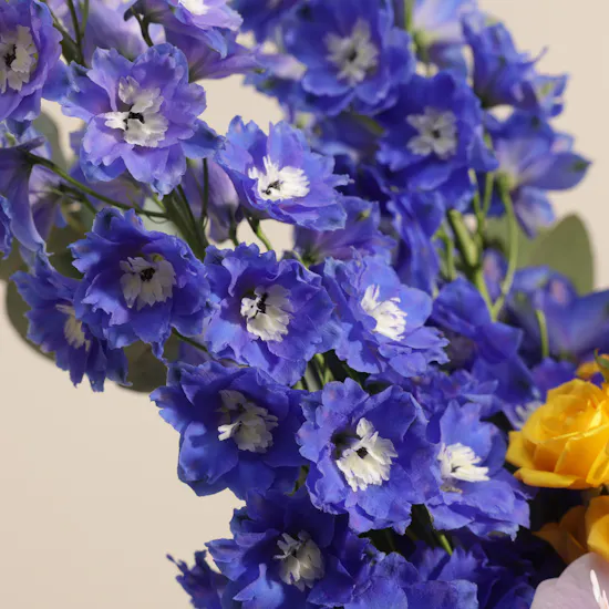 Sugarplum Serenade Vase