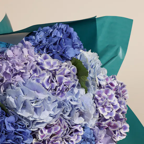 Blue Hydrangea Bouquet