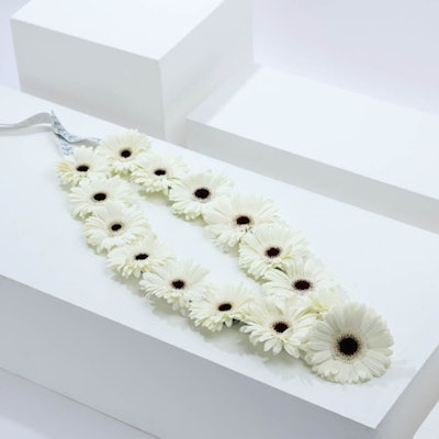White Gerbera Necklace
