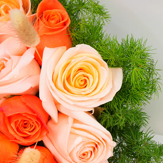 Patchi Chocolate | Roses