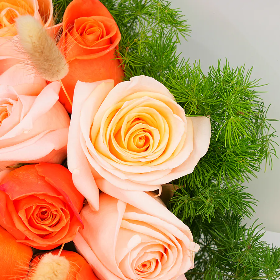 Patchi Chocolate | Roses  3