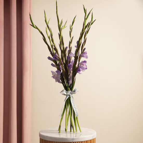 Purple Gladiolus | Flowers Bouquet