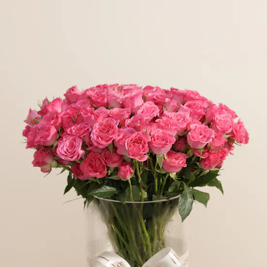Cole Haan Luxury Women’s Bag | Beauty Flowers Vase