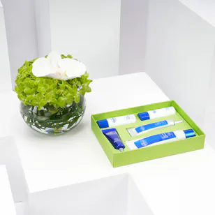 The Face Shop Dr. Belmeur Advanced Cica Recovery Cream Set with Blooms Vase The Face Shop Dr. Belmeur Advanced Cica Recovery Cream Set with Blooms Vase