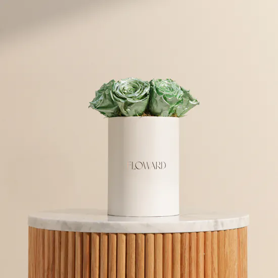 Preserved Green Roses Box