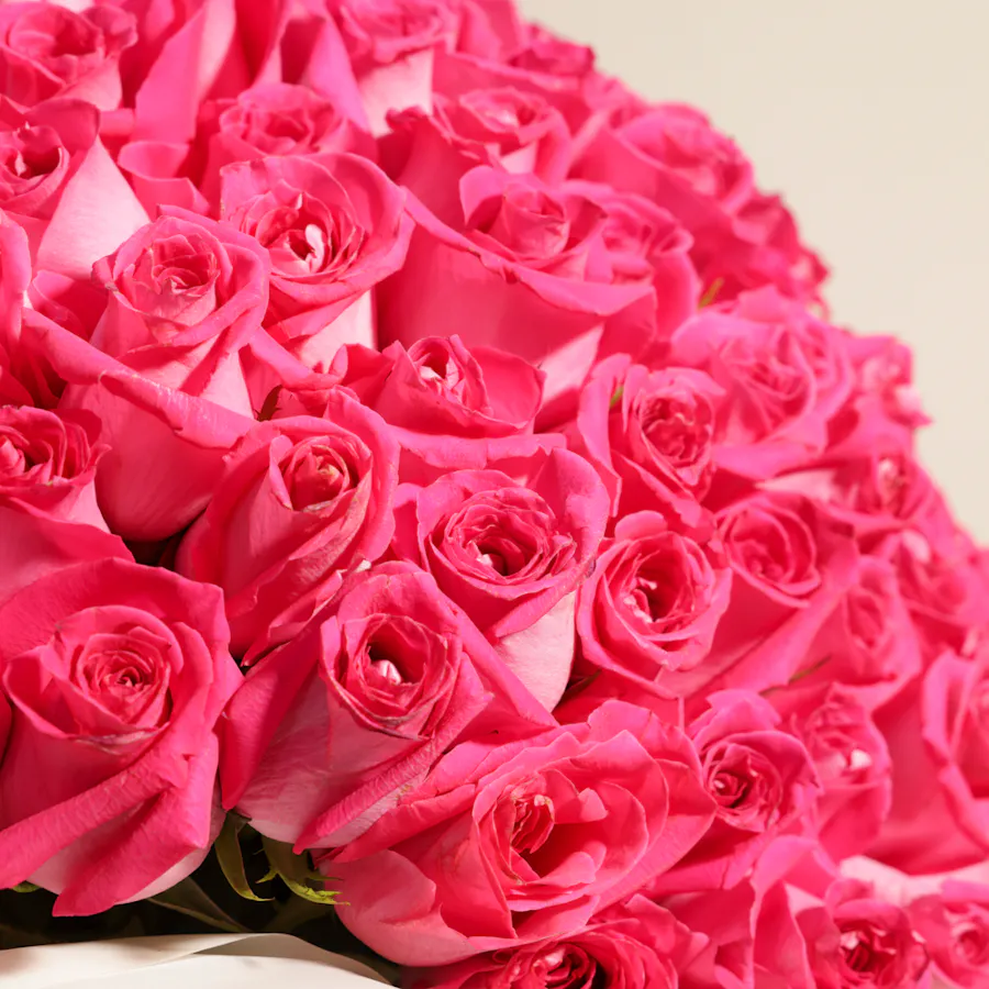 Fuchsia Roses Bouquet | 250 Flowers 4