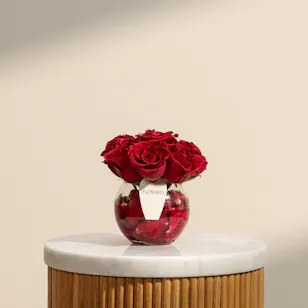 Romance Classic Red Roses Vase