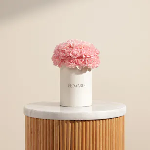 Distinct Pink Carnation Box | 22 Flowers Distinct Pink Carnation Box | 22 Flowers