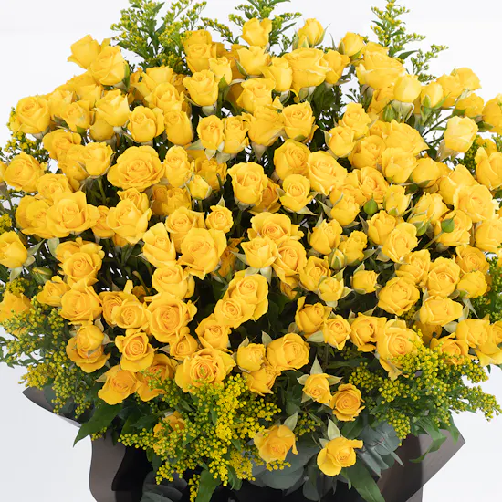 30 Yellow Baby Roses | Black Wrap