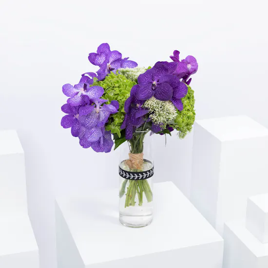 Magic Violet Vase