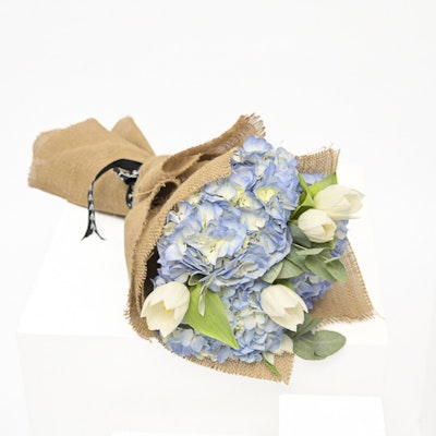 Beauty blue by Nada