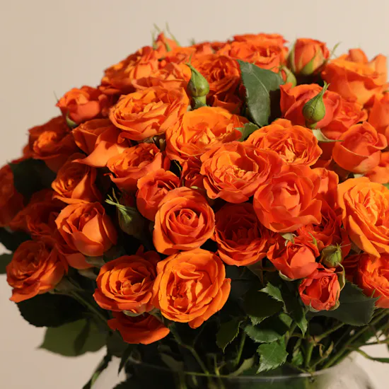 Bright Baby Rose Vase | 35 Flowers