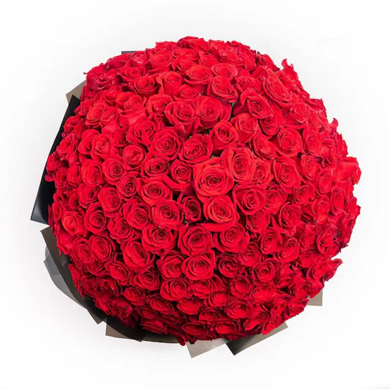 I Love You Roses | Black Wrap