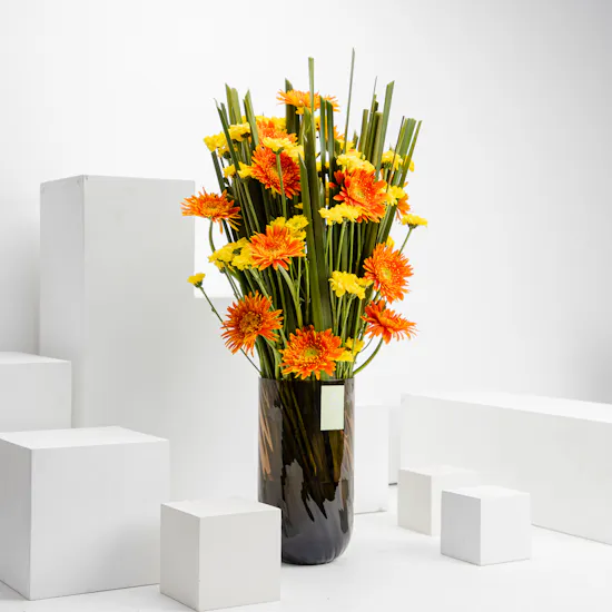 Vibrant Vase