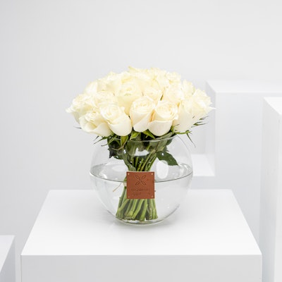 White Vase