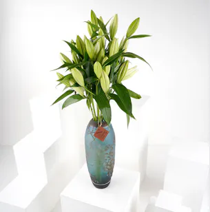 White Lilies | Blue Vase White Lilies | Blue Vase