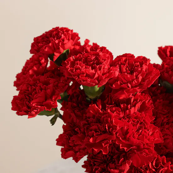 Floward Hearts Red Velvet Cupcakes | Endless Devotion Flowers