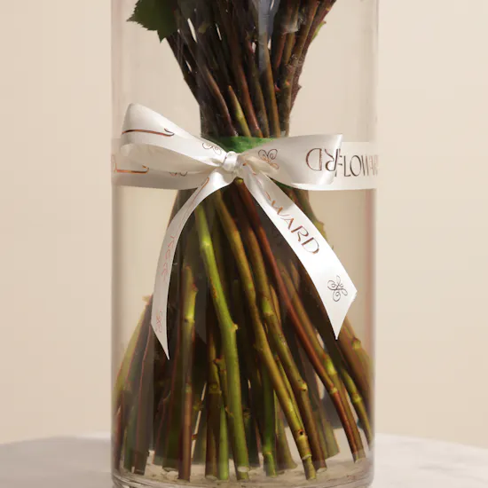 Purple Roses Vase | 50 Flowers