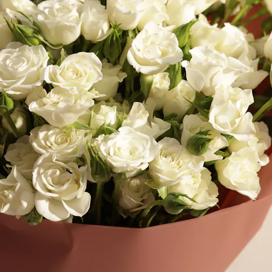 White Aura Roses Bouquet
