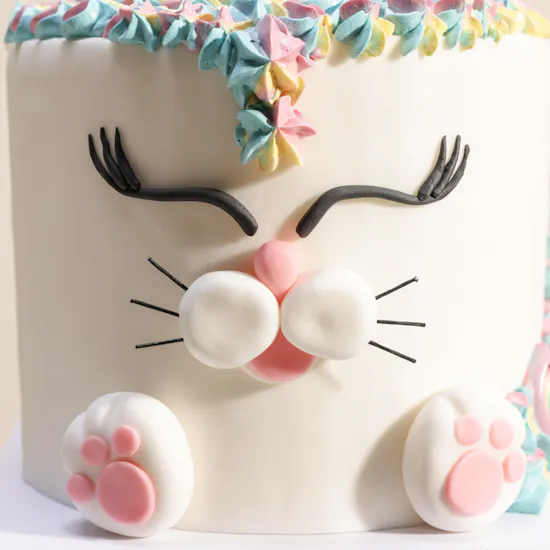 Floward Colorful Bunny Cake