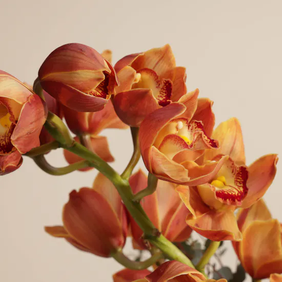Tropical Elegance Vase By September Studio