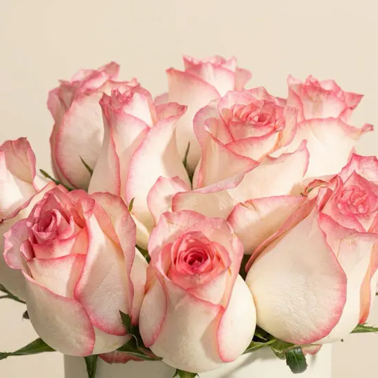 Delicate Esperance Rose Box